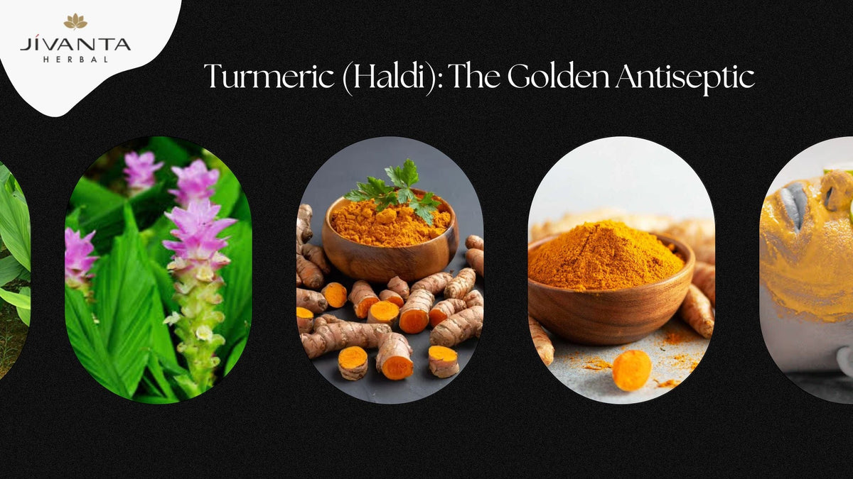Haldi