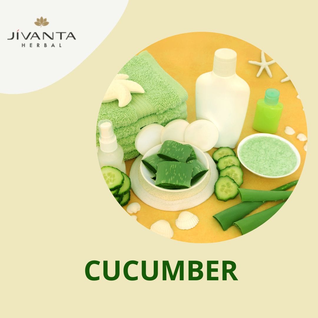 Cucumber