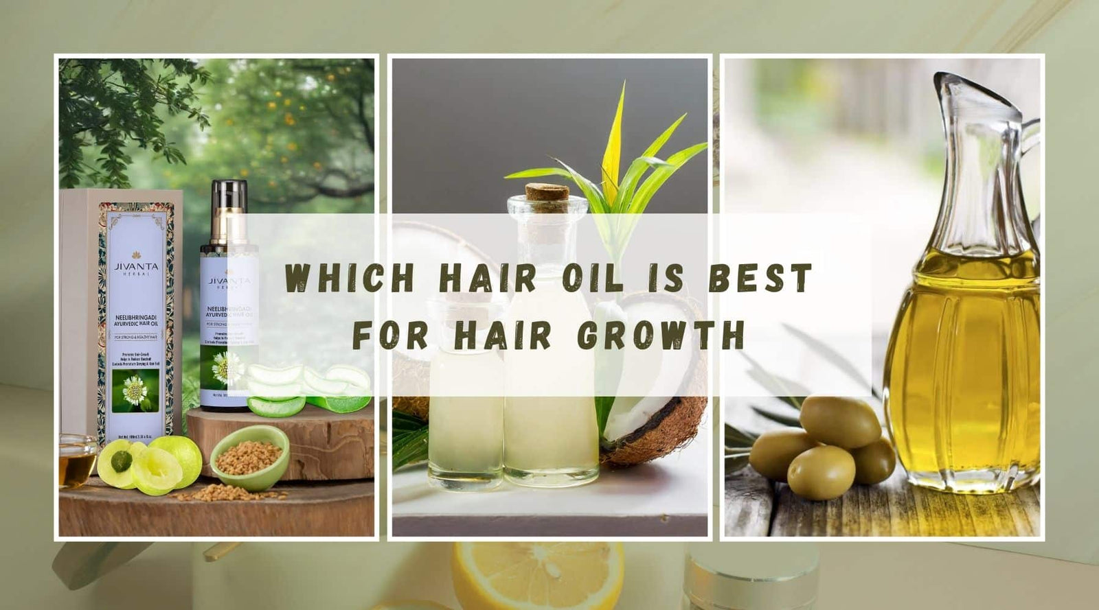 Which Hair Oil is Best For Hair Growth?